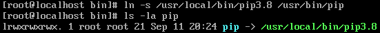 pip 软链接